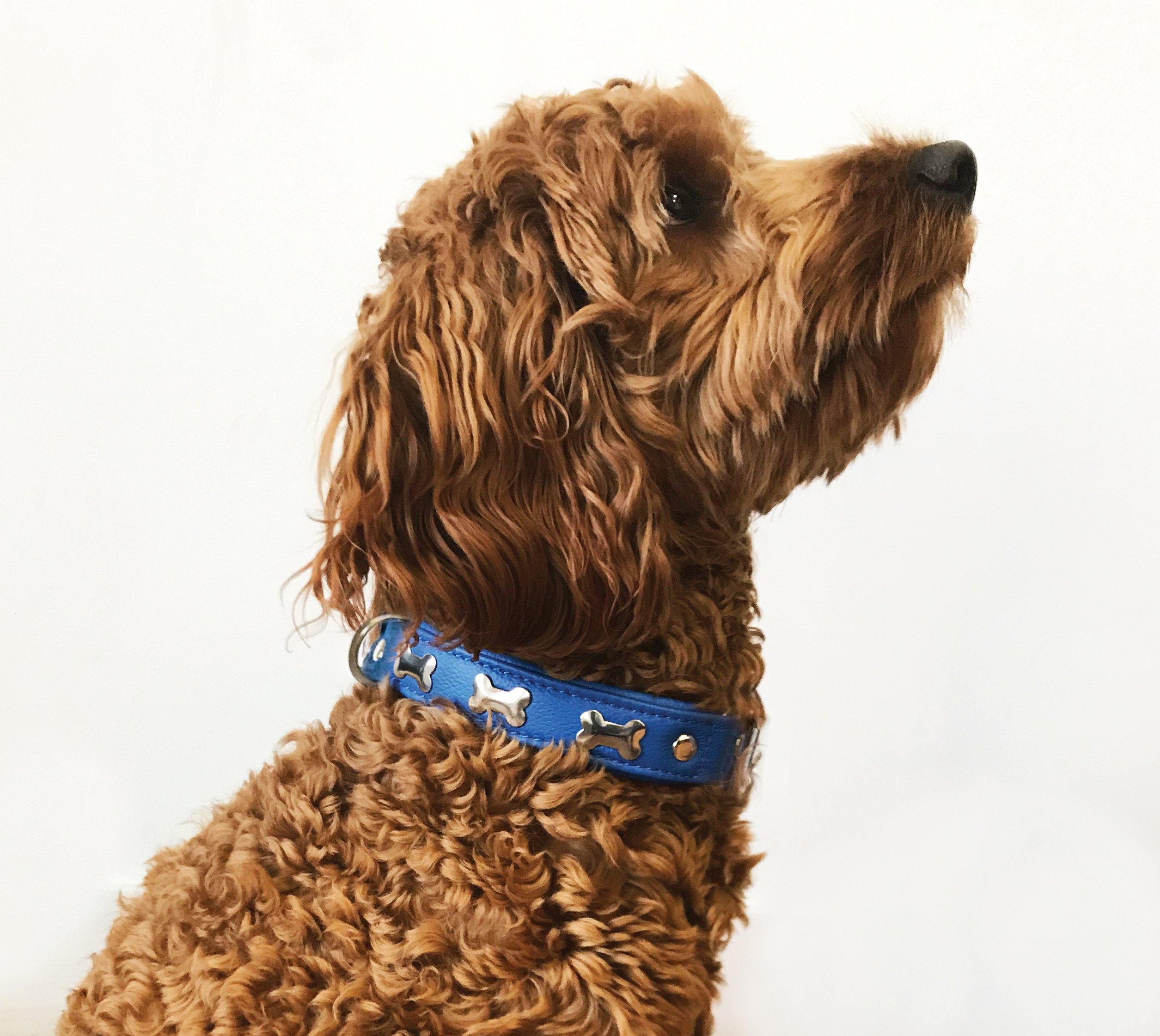 Crest Dog Collar - OL Reign