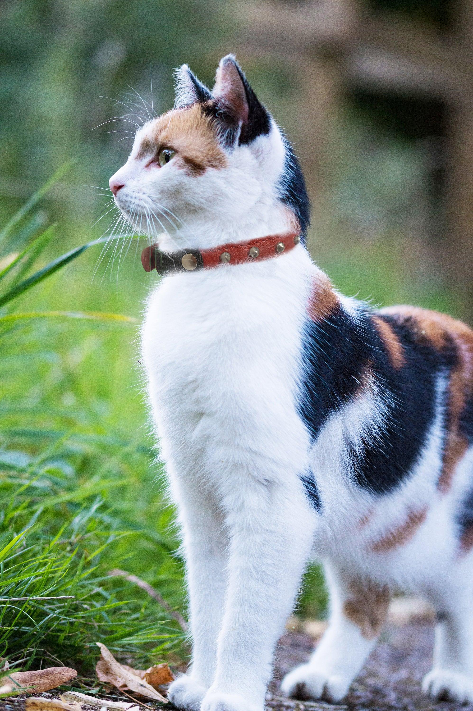 Buy Spiked Cat Collar Stylish Leather Studded Cat Collar Online