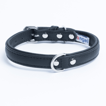 Alpine 2024 dog collars