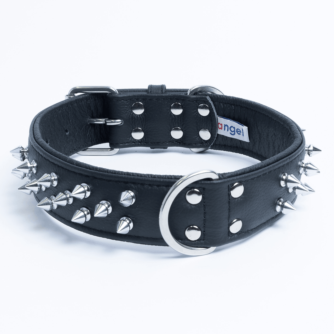 Spiked dog best sale collars near me